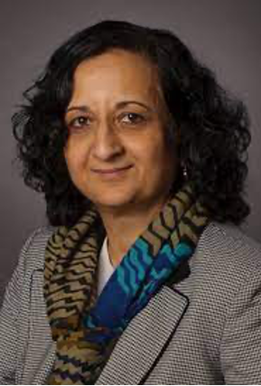 Dr. Anuradha Annaswamy