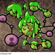 Image: Jose-Luis Olivares, MIT