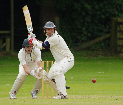 cricket1